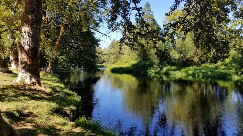 The Nehalem River Winding Through Town