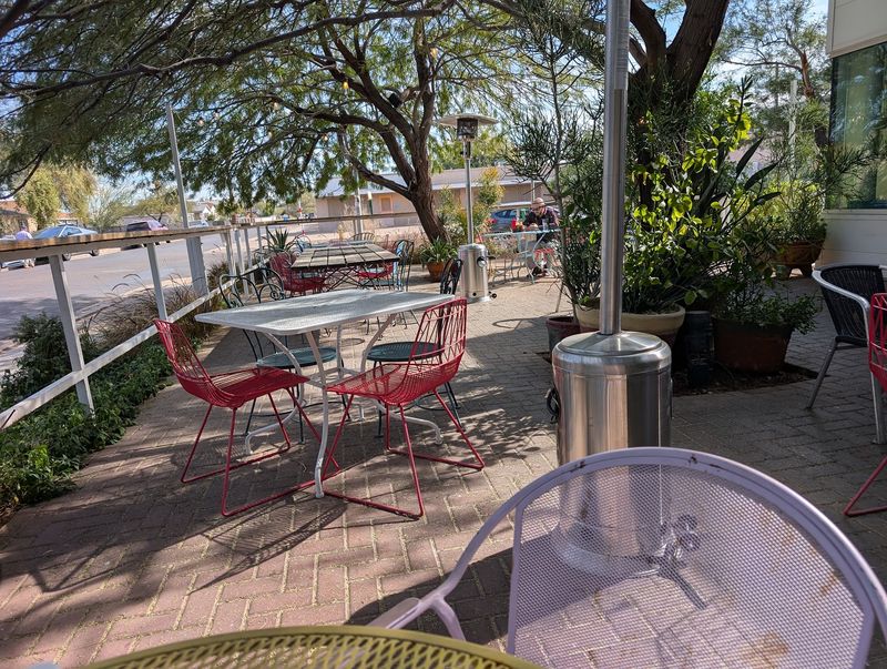 The Patio Garden Under the Trees