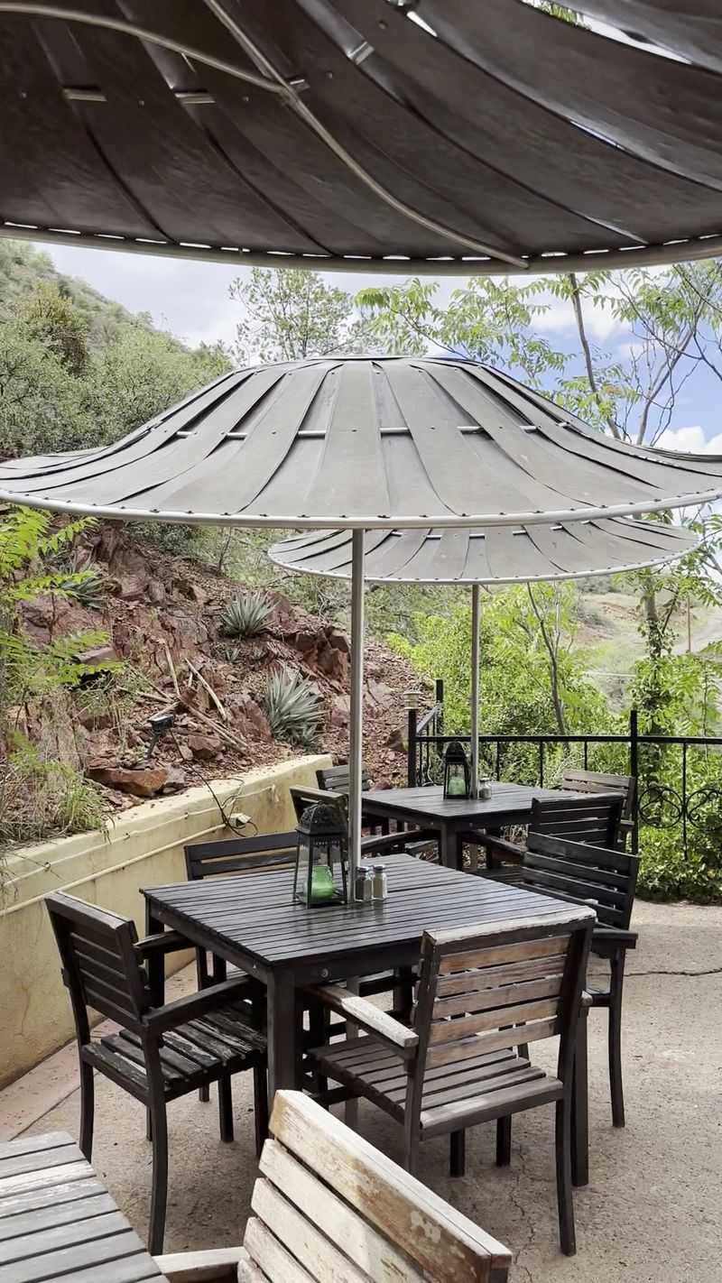 The Patio Where Pets Are Welcome