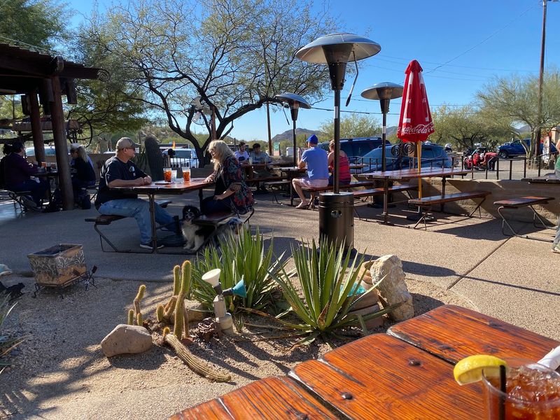 The Patio and Its Four-Legged Regulars