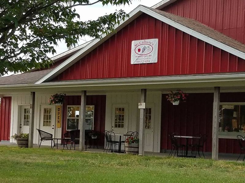 The Property Farms and McCallum's Orchard & Cider Mill, Jeddo, MI