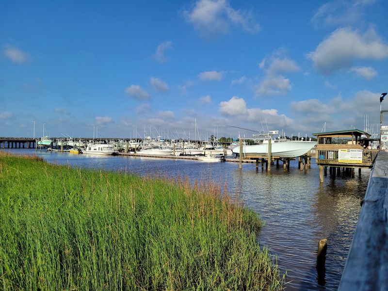 The Pull of the Lowcountry Landscape