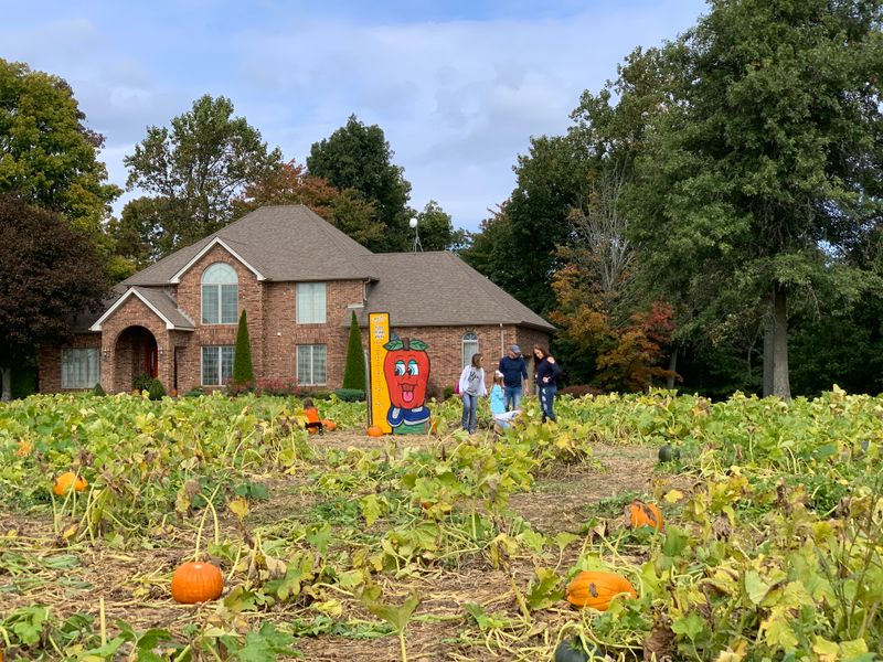 The Pumpkin Patch Pilgrimage