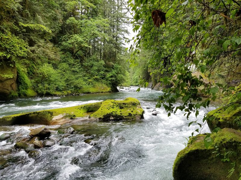 The River Trail and Its Rushing Views