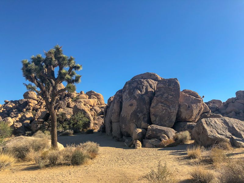 The Rocks That Made Climbers Famous