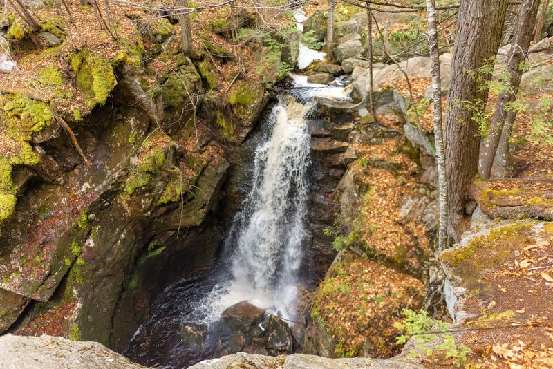 The Rocky Gorge Below
