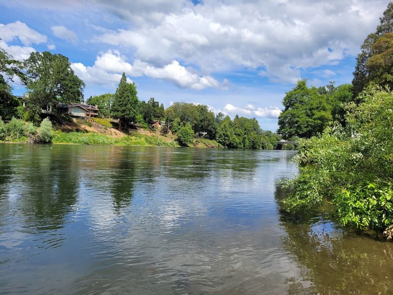 The Rogue River At The Center Of It All