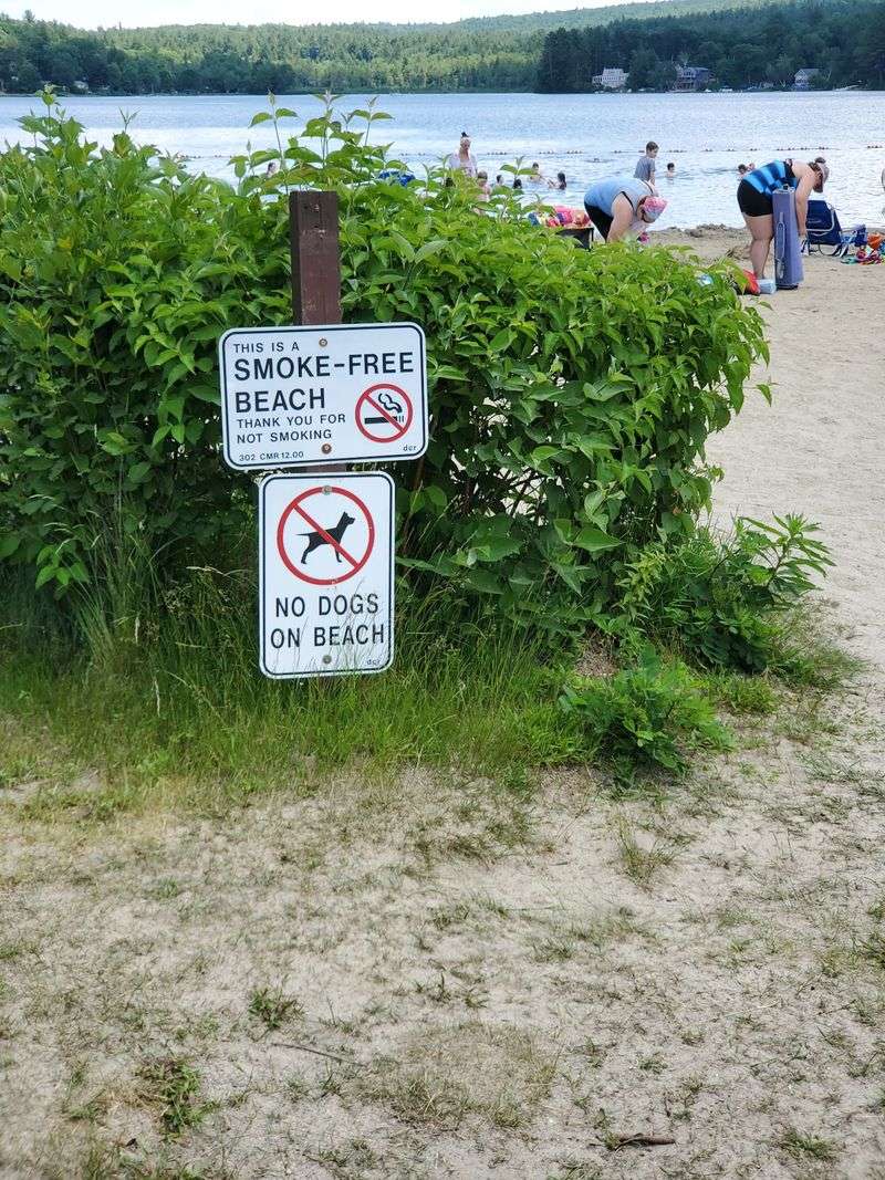The Rules That Trip Up First-Timers The Rules That Trip Up First-Timers
