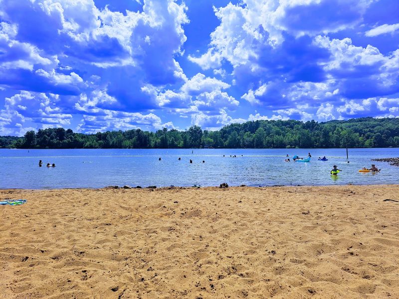 The Sandy Beach On The Water