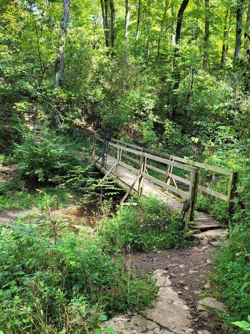 The Scenic Overlook Bridge The Scenic Overlook Bridge