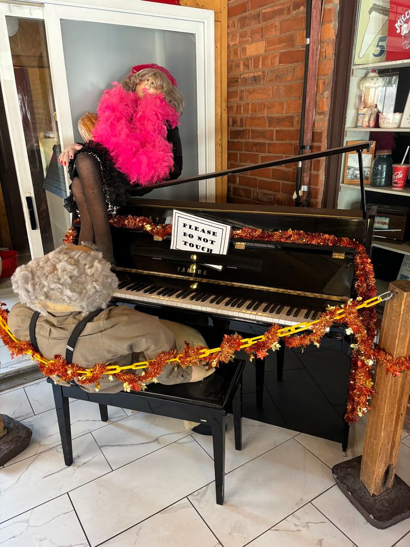 The Self-Playing Piano and Playful Touches The Self-Playing Piano and Playful Touches