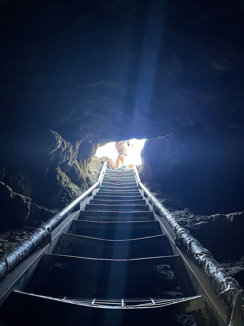 The Skylight And The Ladder At The End