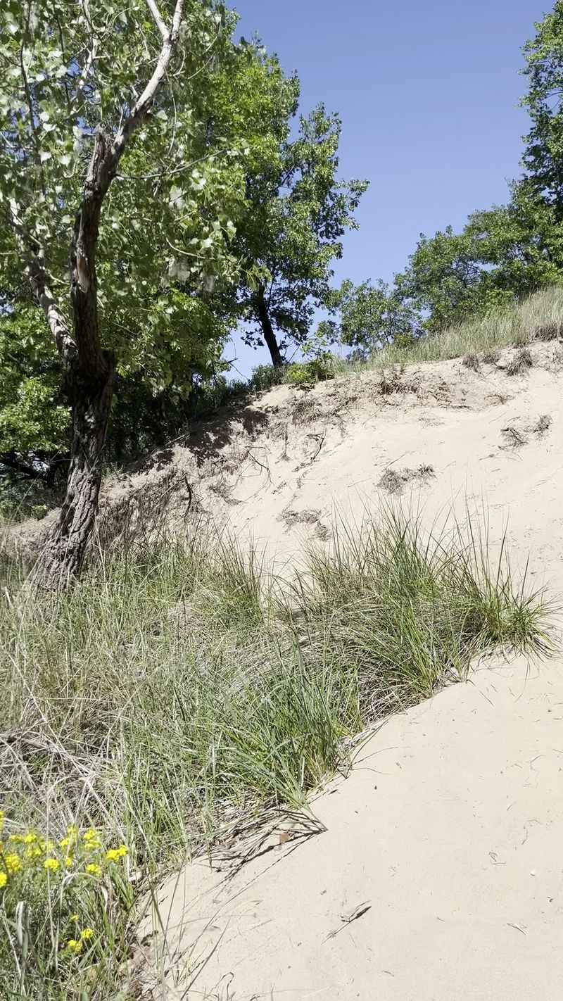 The Steep Sandy Dune Climb