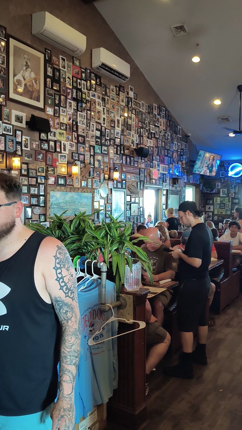 The Story Behind The Dogs On The Wall