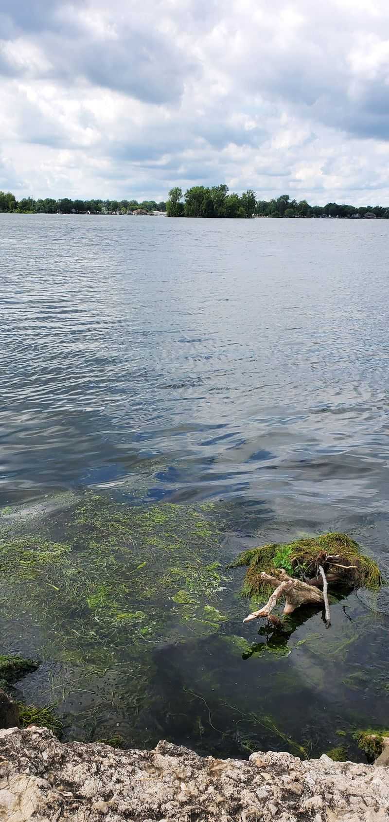 The Story Behind the Water