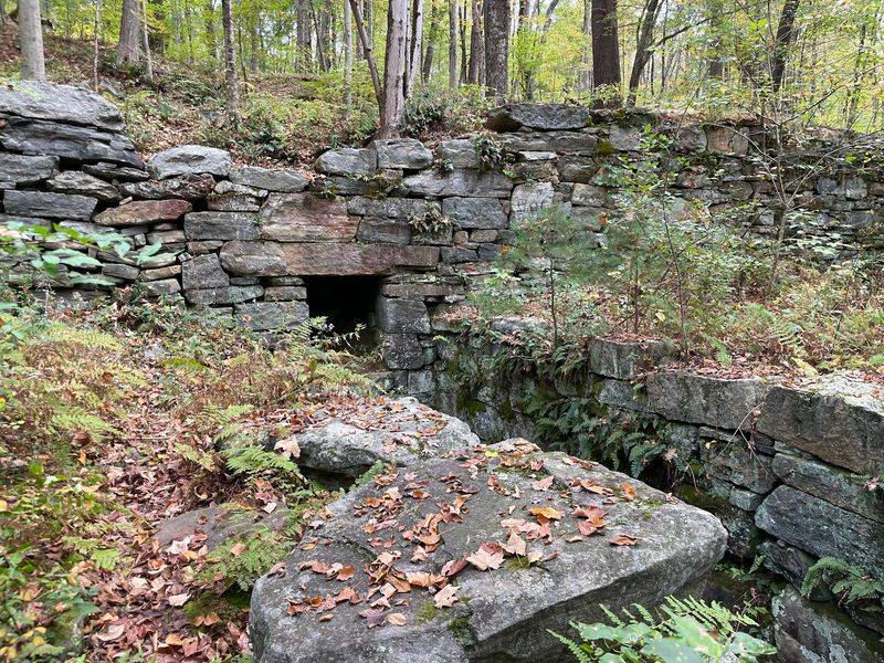 The Story Of A Mill Town Swallowed By Forest