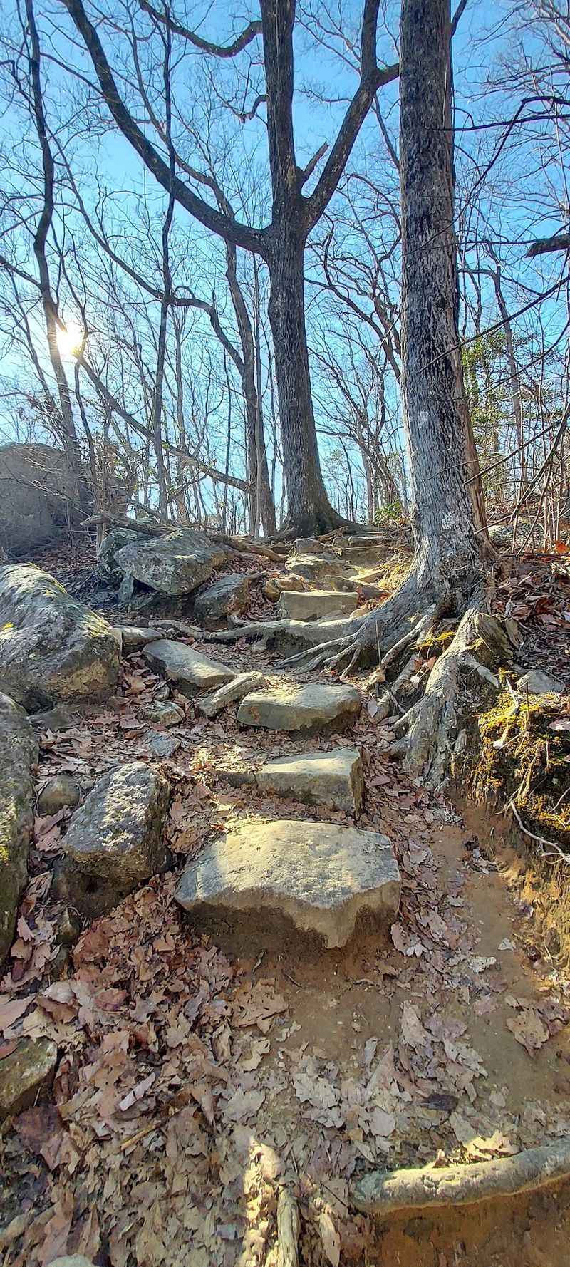 The Strenuous Climb to the Summit