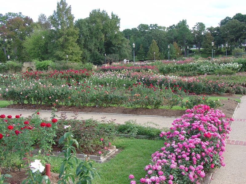 The Surprise Season After Summer
