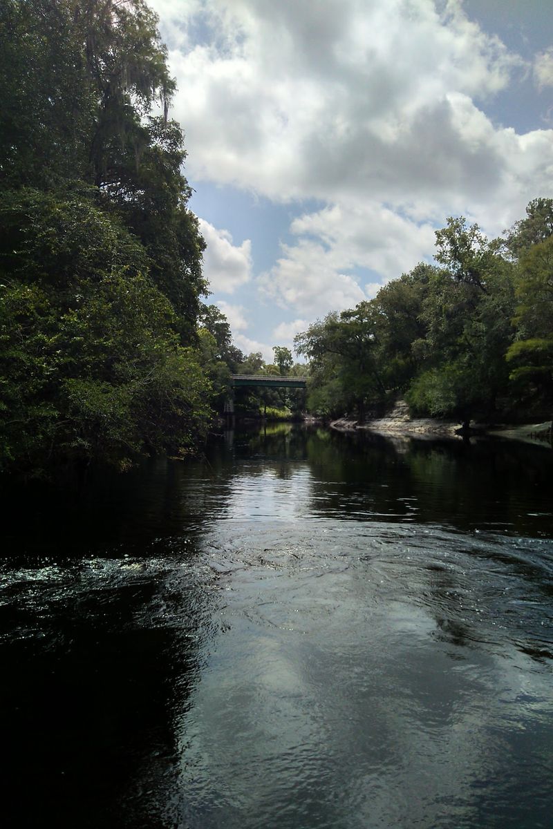 The Suwannee River at the Heart of It All
