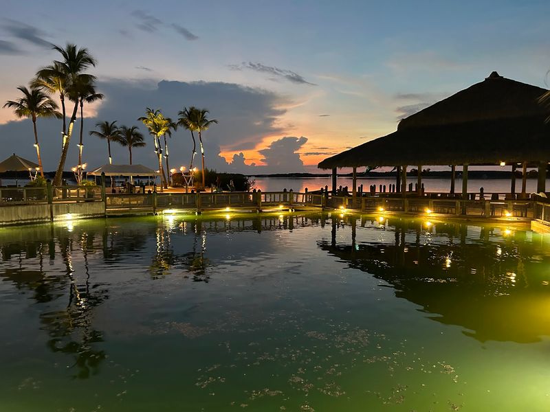 The Tarpon Pool Show The Tarpon Pool Show