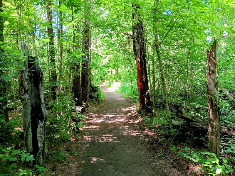 The Trail Linking Upper and Lower Falls