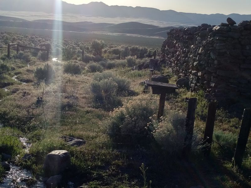 The Trail Out to the Station