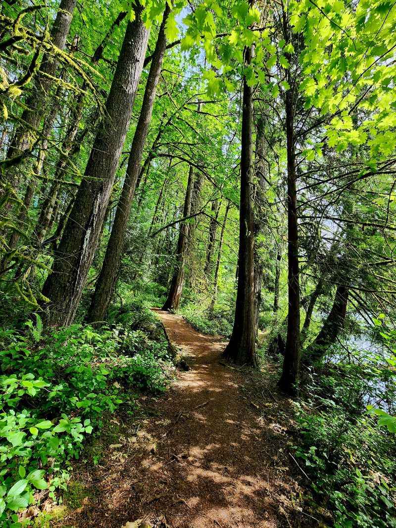 The Trail That Circles The Water
