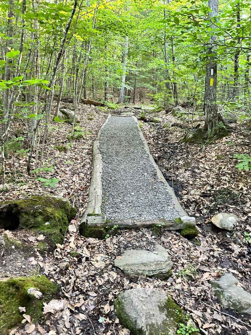 The Trail That Leads You In