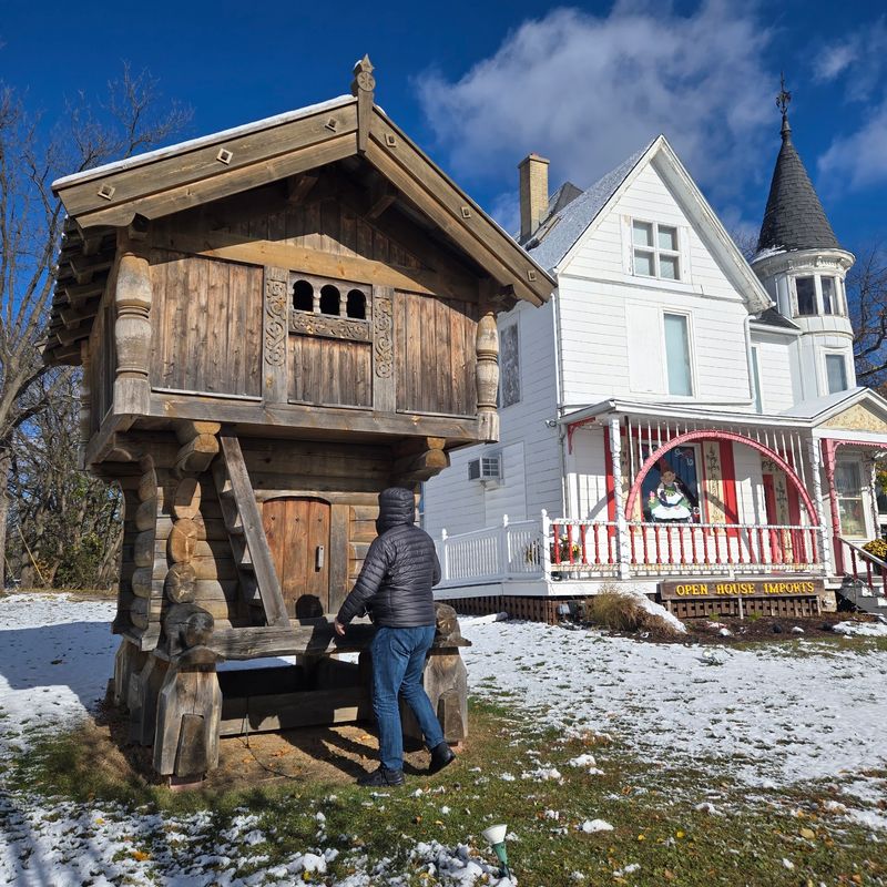 The Trolls-And-Timber Village Setting The Trolls-And-Timber Village Setting