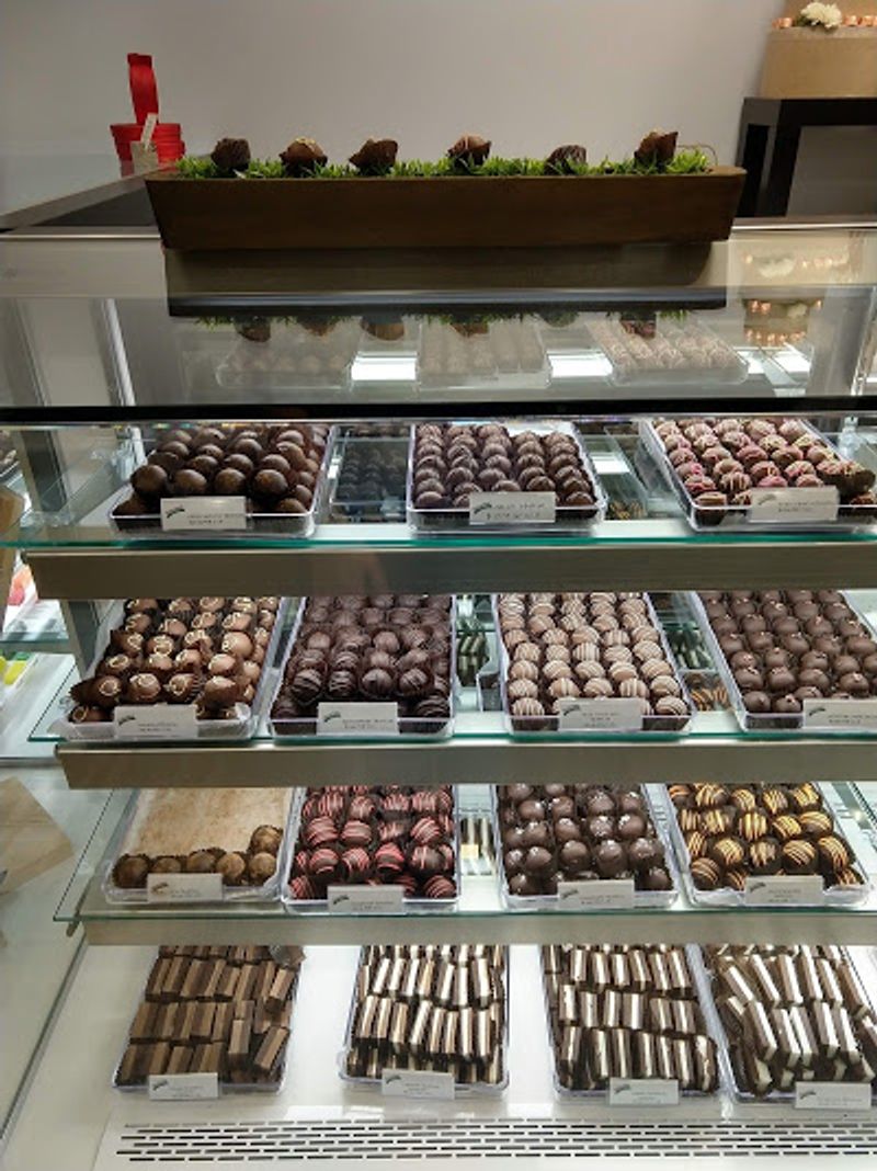 The Truffle Lineup