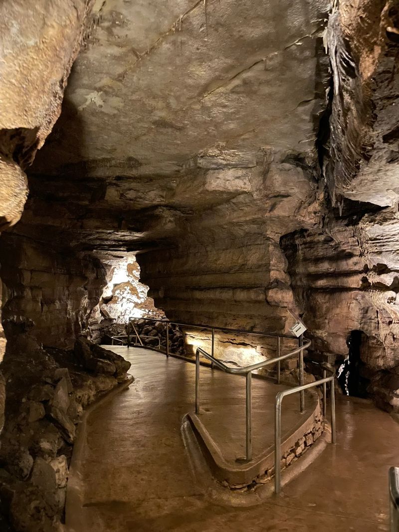 The Underground Wonder That Steals The Show The Underground Wonder That Steals The Show