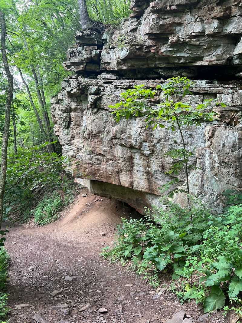 The Upper Trail's Gentler Climb