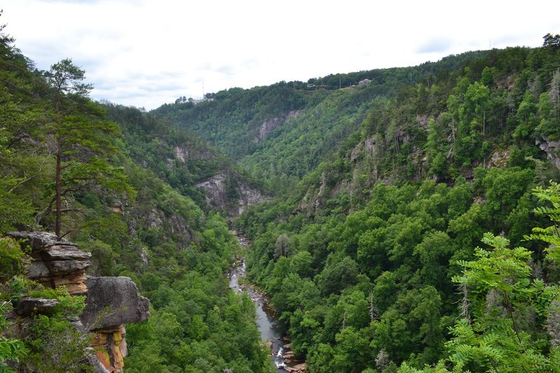 The View From the North Rim Trail