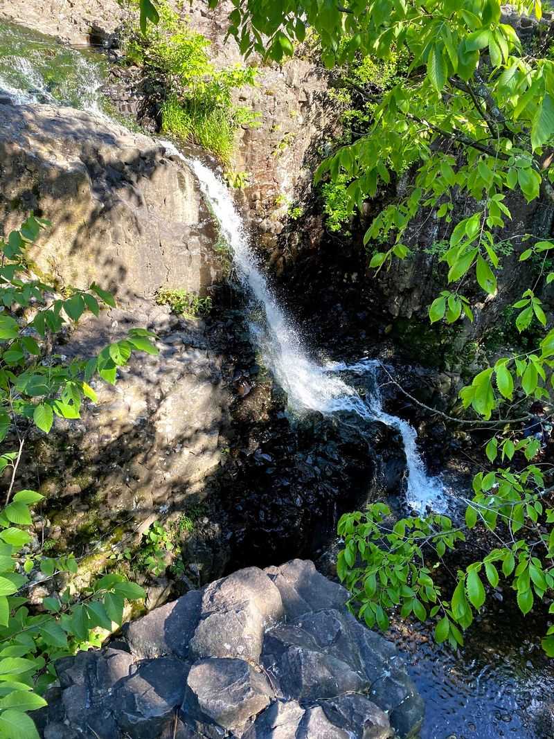 The View From the Top of the Cascade