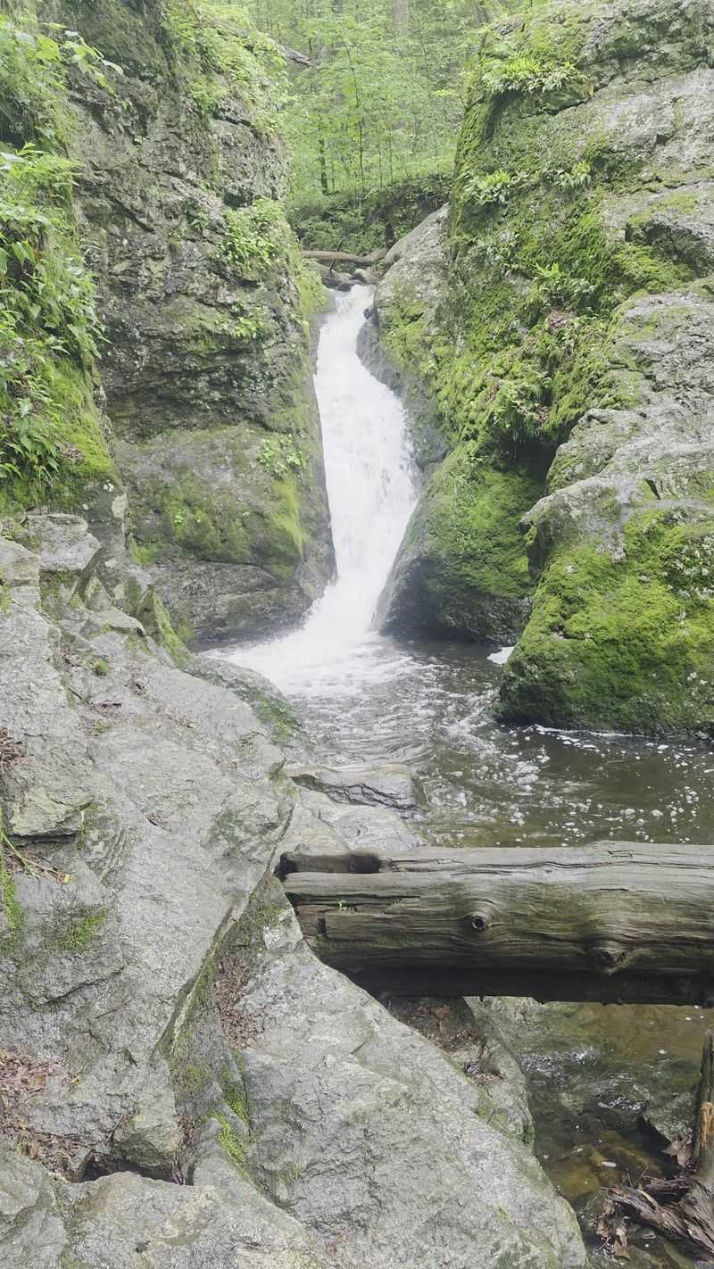 The Waterfall Everyone Talks About The Waterfall Everyone Talks About