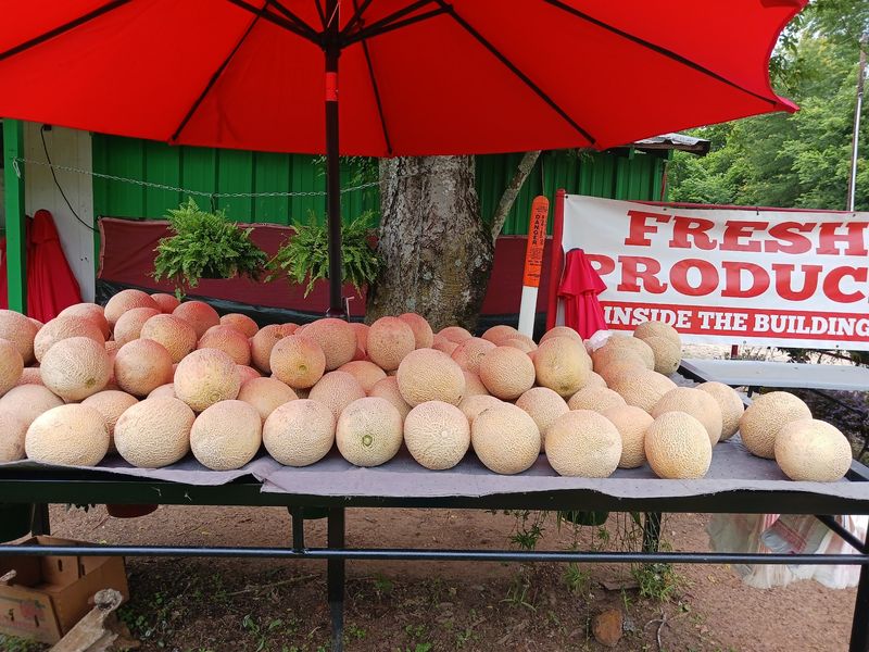 The Watermelon Shed, Hawkins, TX