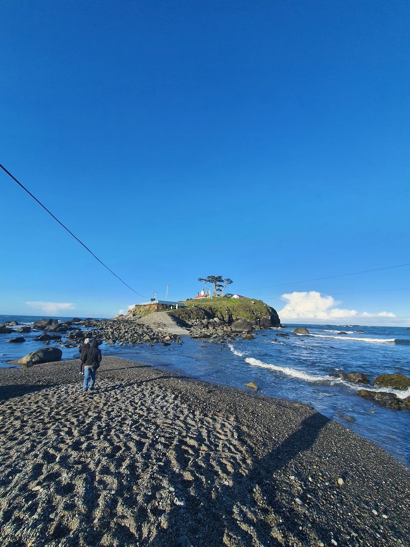 The Wild Coast Around It