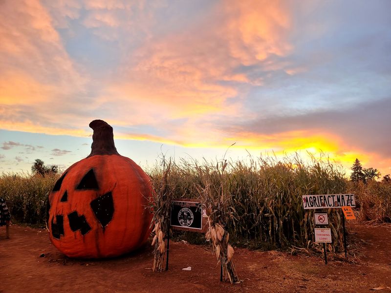 The Willis Farm, Snowflake, AZ