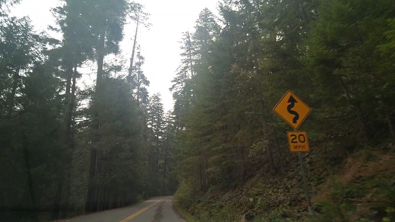 The Winding Road That Leads You There