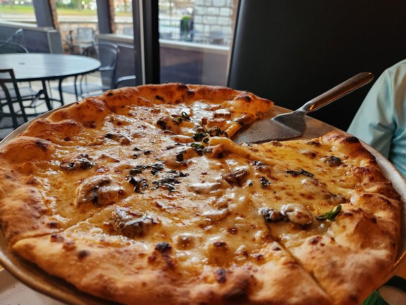 The Wood Fired Pizza Oven The Wood Fired Pizza Oven
