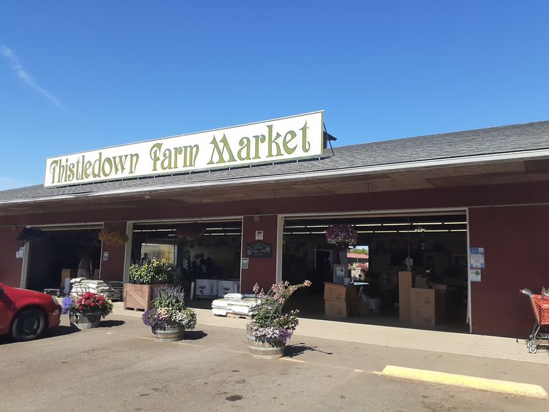 Thistledown Farm, Junction City, OR