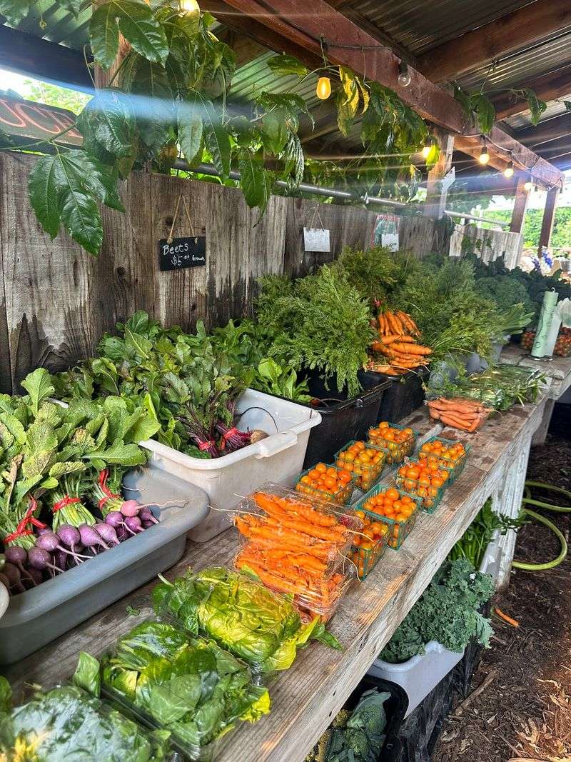 Thorne Family Farm, Malibu, CA
