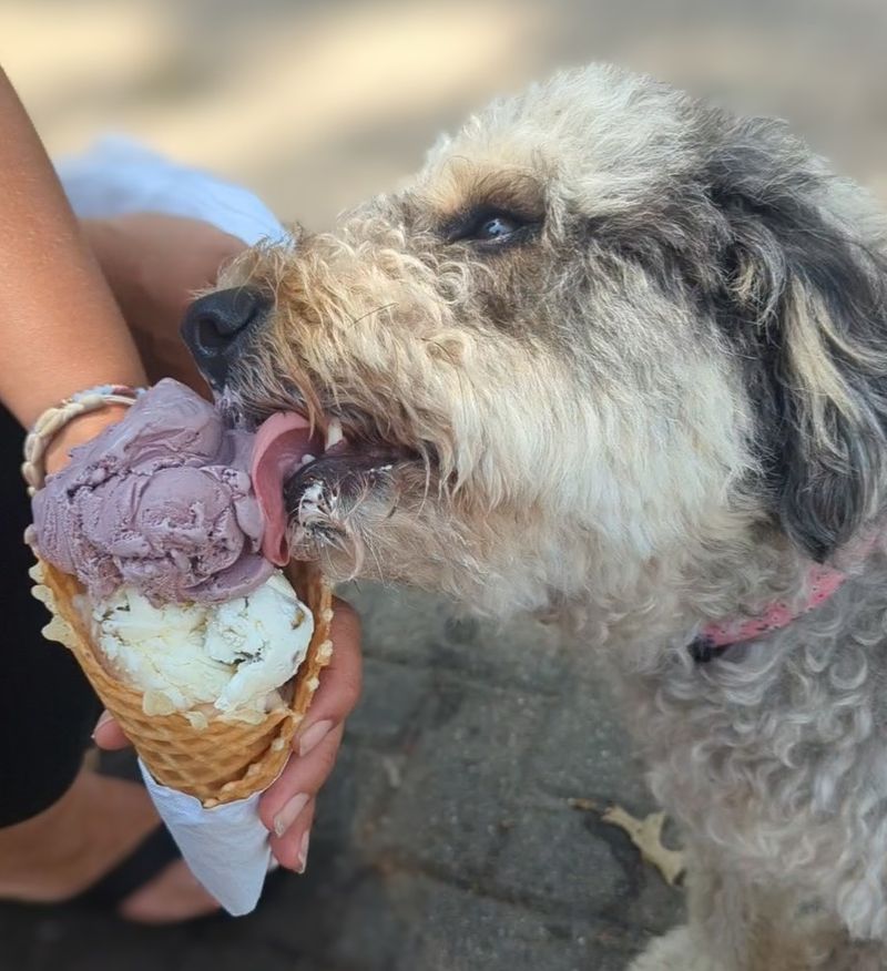 Those Famous Waffle Cones