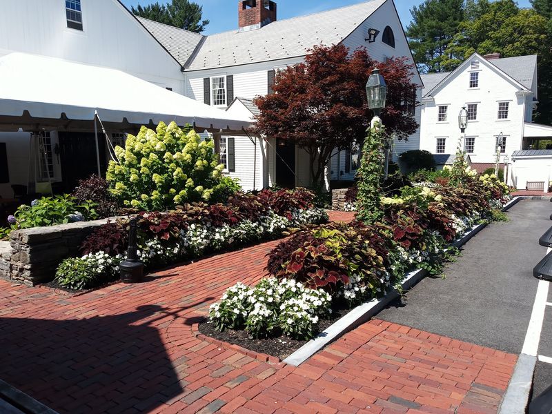 Three Houses, One Orchard View