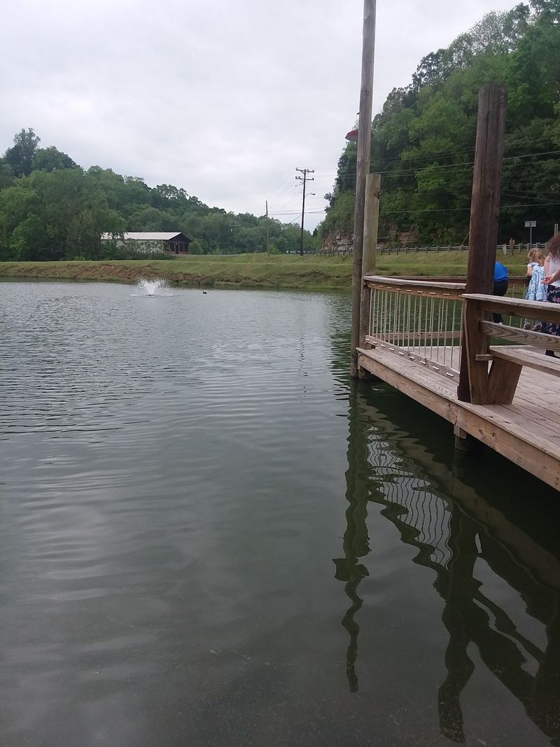 Timing Your Catfish Run