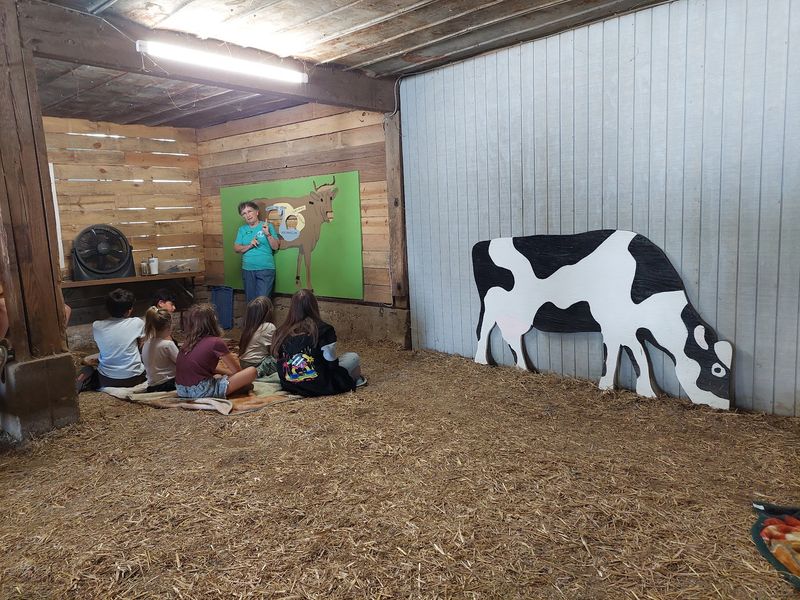 Tire Swings, Hayrides and Field Trips