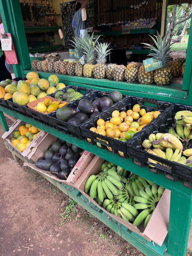 Tony & Caroline's Fruit Stand - Handmade Jewelry & Local Art, Hana, HI