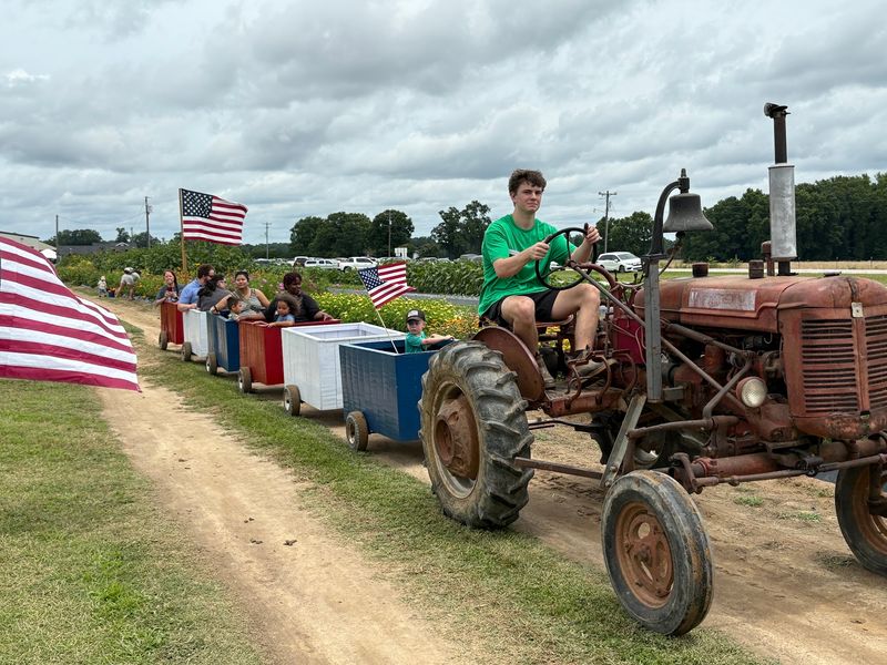 Tractor Rides, Playgrounds, and Picnic Tables