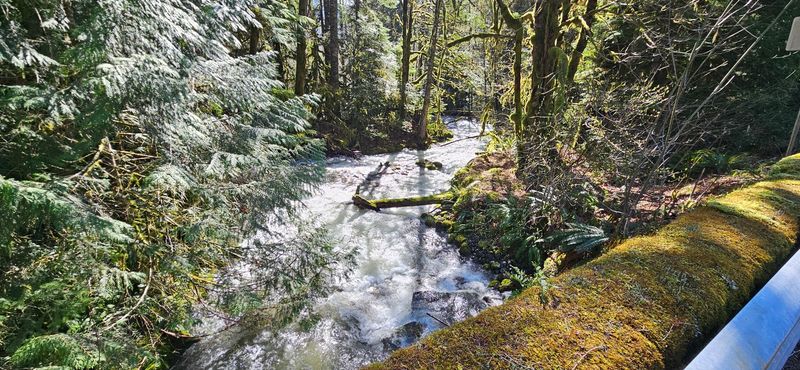 Trails, Amphitheater, and Grounds to Roam