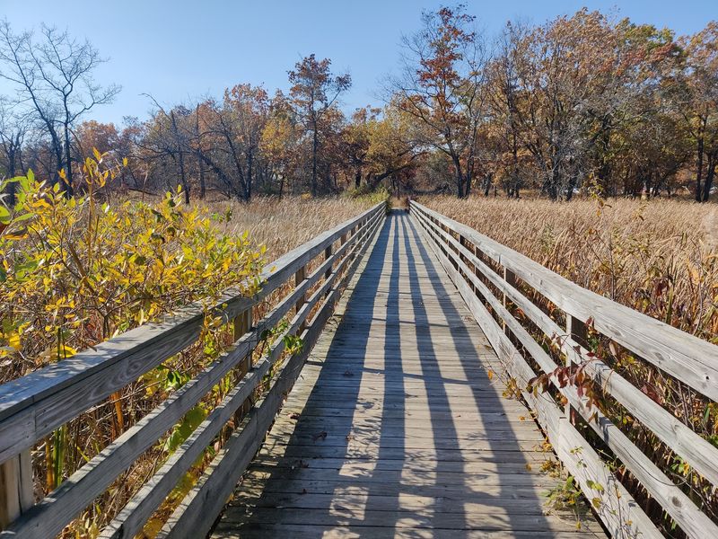 Trails, Bikes, and Room to Roam